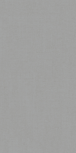 Ariana Canvas Grey Rett 60x120 см