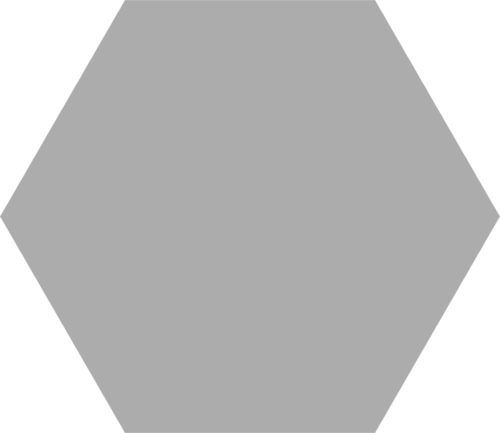 Codicer Basic Silver Hex 25 Hexagonal 22x25 см