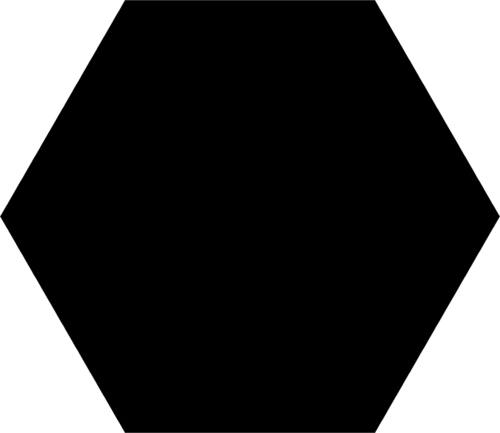 Codicer Basic Black Hex 25 Hexagonal 22x25 см