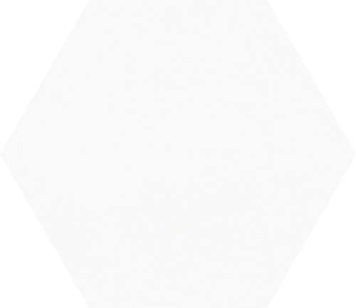 Codicer Porto Hex 25 White Hexagonal 22x25 см