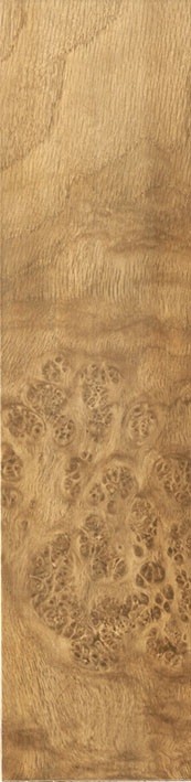 Habitat Ceramics Holz Rosewood 25x100 см