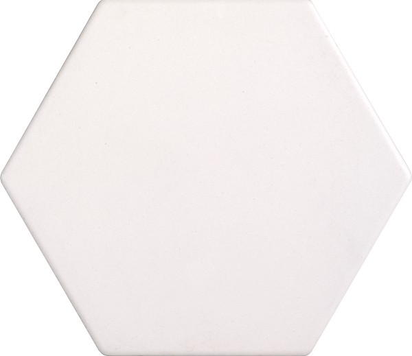 Tonalite Examatt Bianco Matt 15x17.1 см