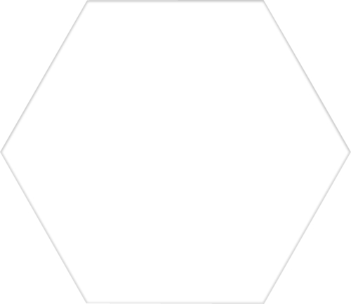 Codicer Basic White Hex 25 Hexagonal 22x25 см