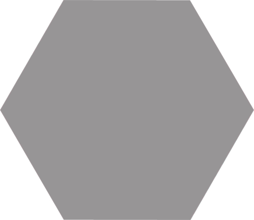 Codicer Basic Grey Hex 25 Hexagonal 22x25 см