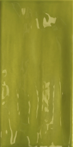 Tonalite Joyful Lime 10x20 см