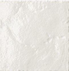 Tonalite Provenzale Bianco Neve 15x15 см